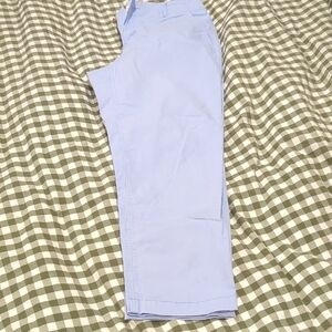 LOFT Light Blue Ankle Pants